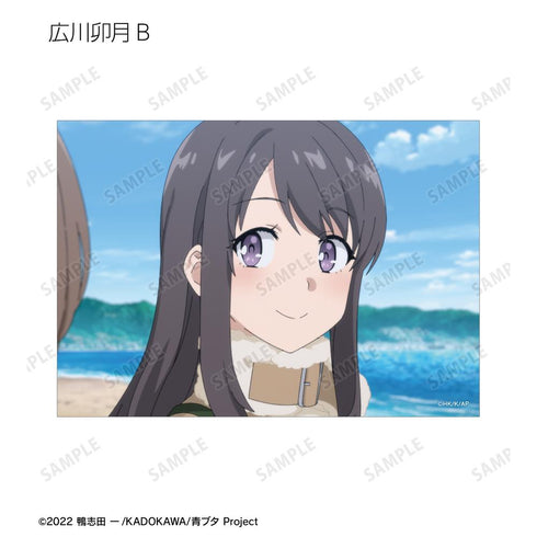『青春ブタ野郎はおでかけシスターの夢を見ない』トレーディング場面写ブロマイド(単位/BOX)【202509再販】